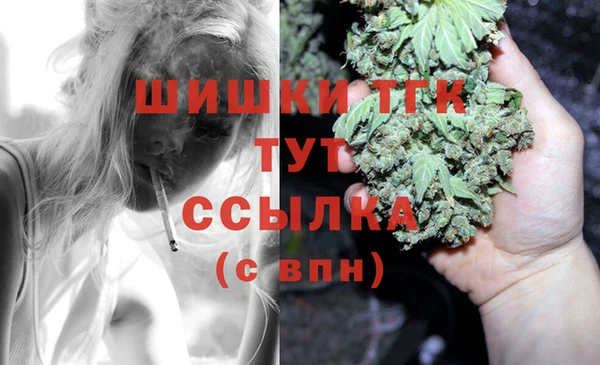 крисы Армянск